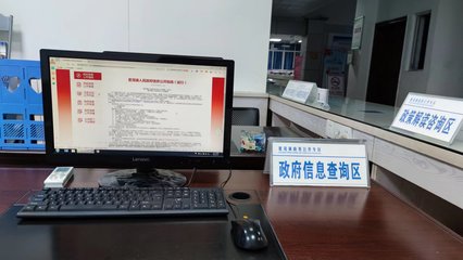 夏茂镇 以政务公开专区建设为抓手，推进计算机信息咨询服务便民化