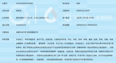 成都华西化工科技股份的计算机信息咨询服务发展与实践