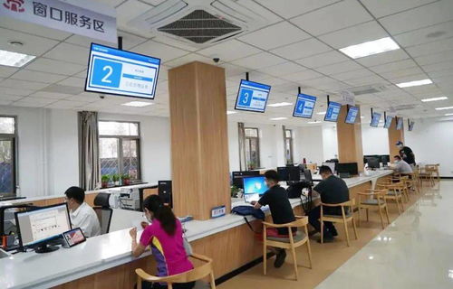 群众少跑腿 信息多跑路 鲁谷街道政务服务大厅实现“一窗受理”计算机信息咨询服务